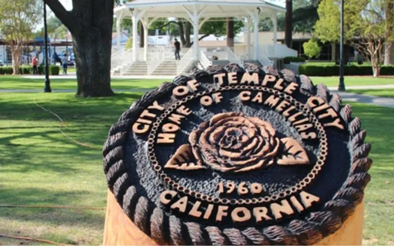 Temple City plumbing services