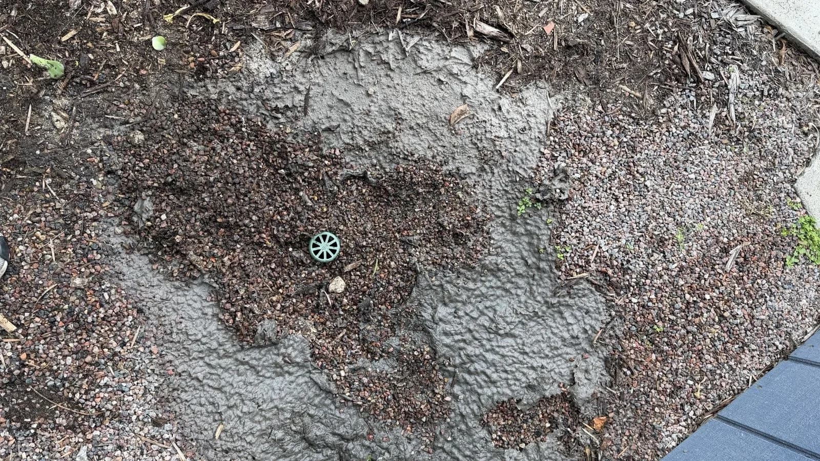 Hidden sewer cleanout discovered behind a storage shed disguised as a storm drain at a Burbank home
