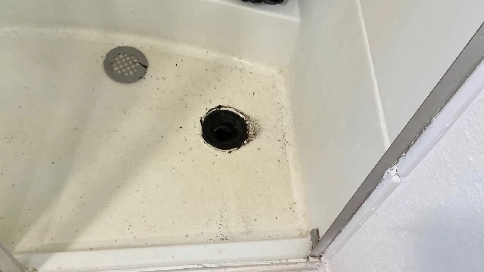 Opened shower drain during drain cleaning service in Burbank