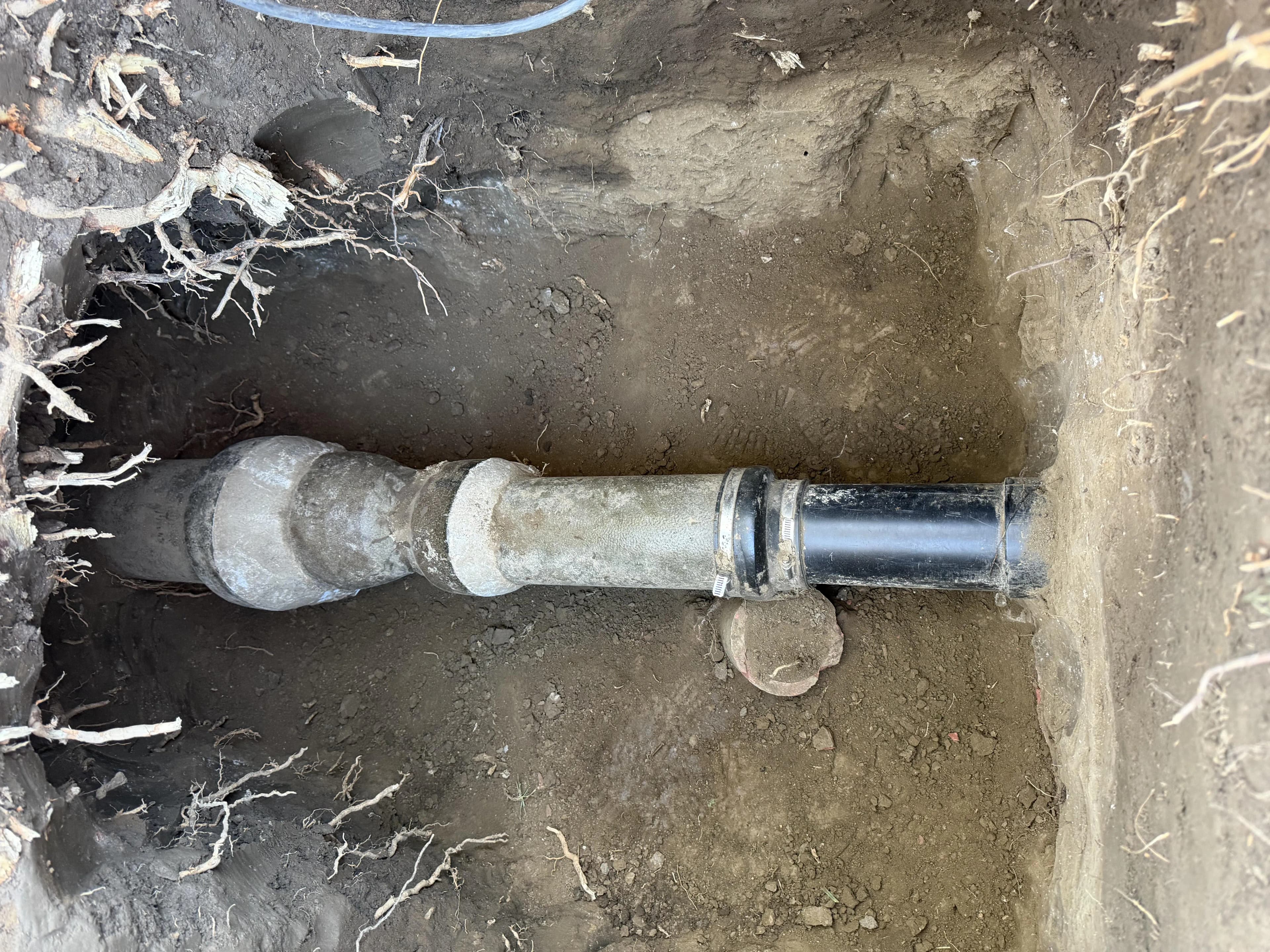 Glendale sewer line before repair with heavy tree root intrusion