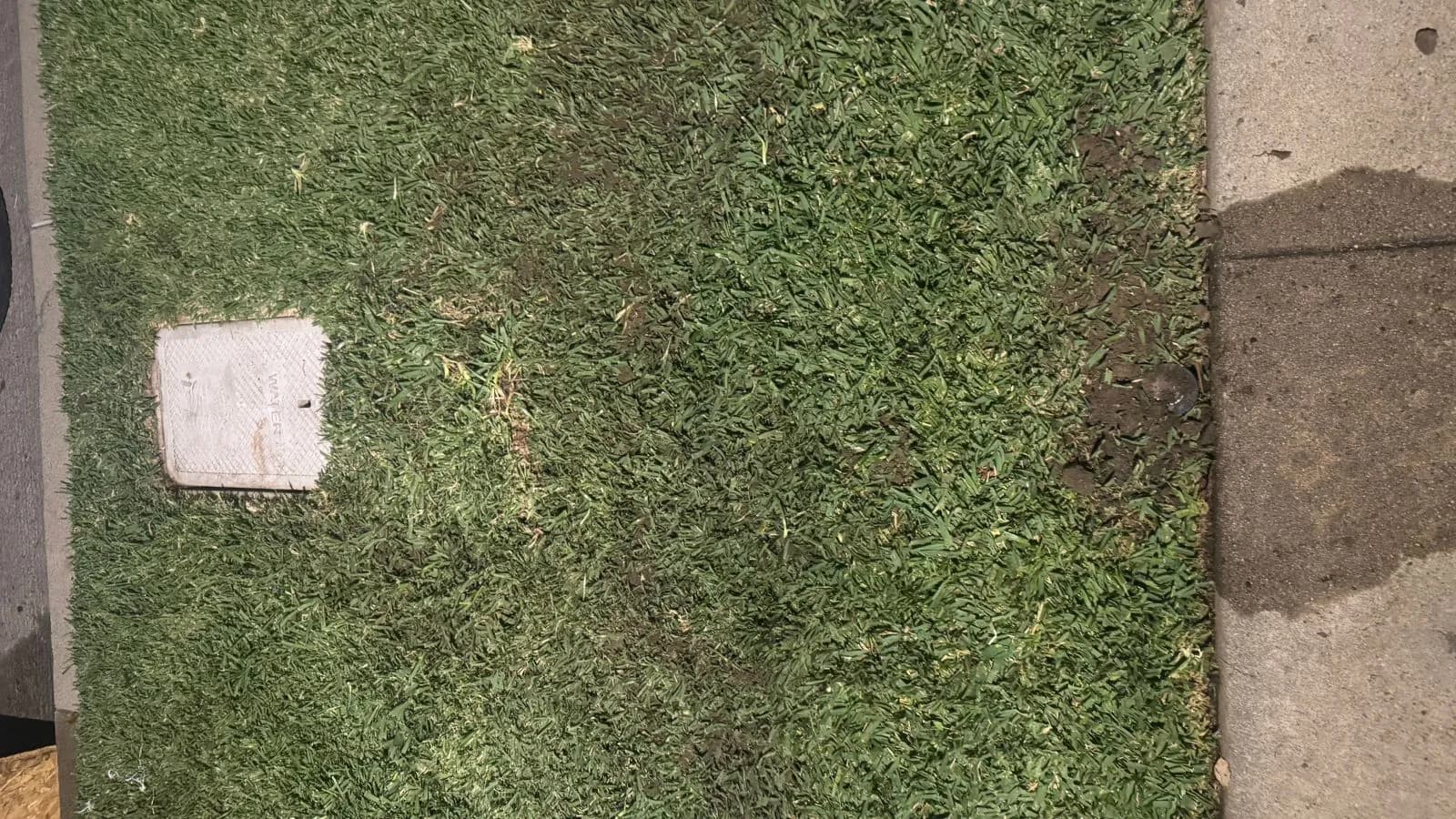 Glendale water line after repair – upgraded piping and leak-free connections